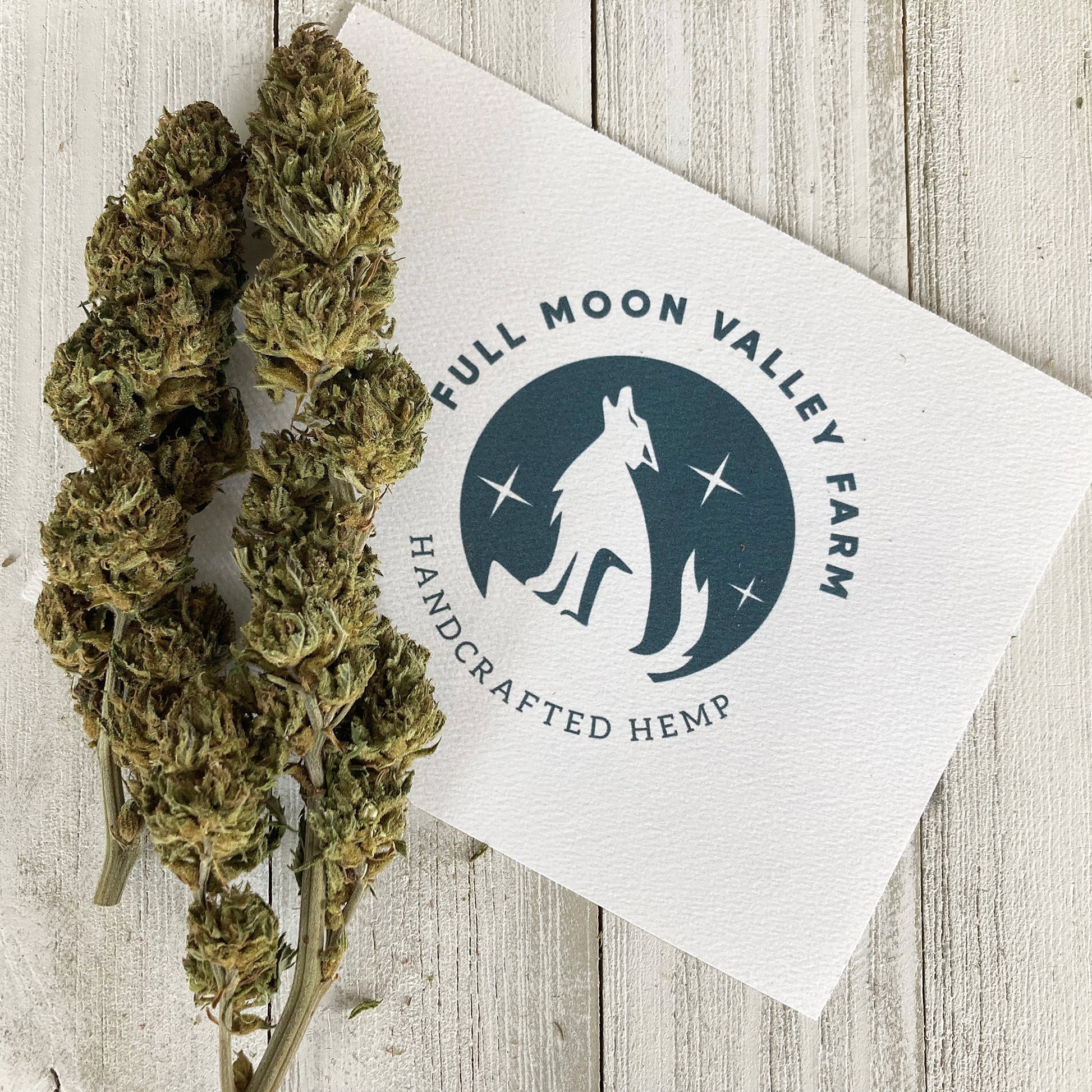 CBD hemp buds hand trimmed shown with logo card