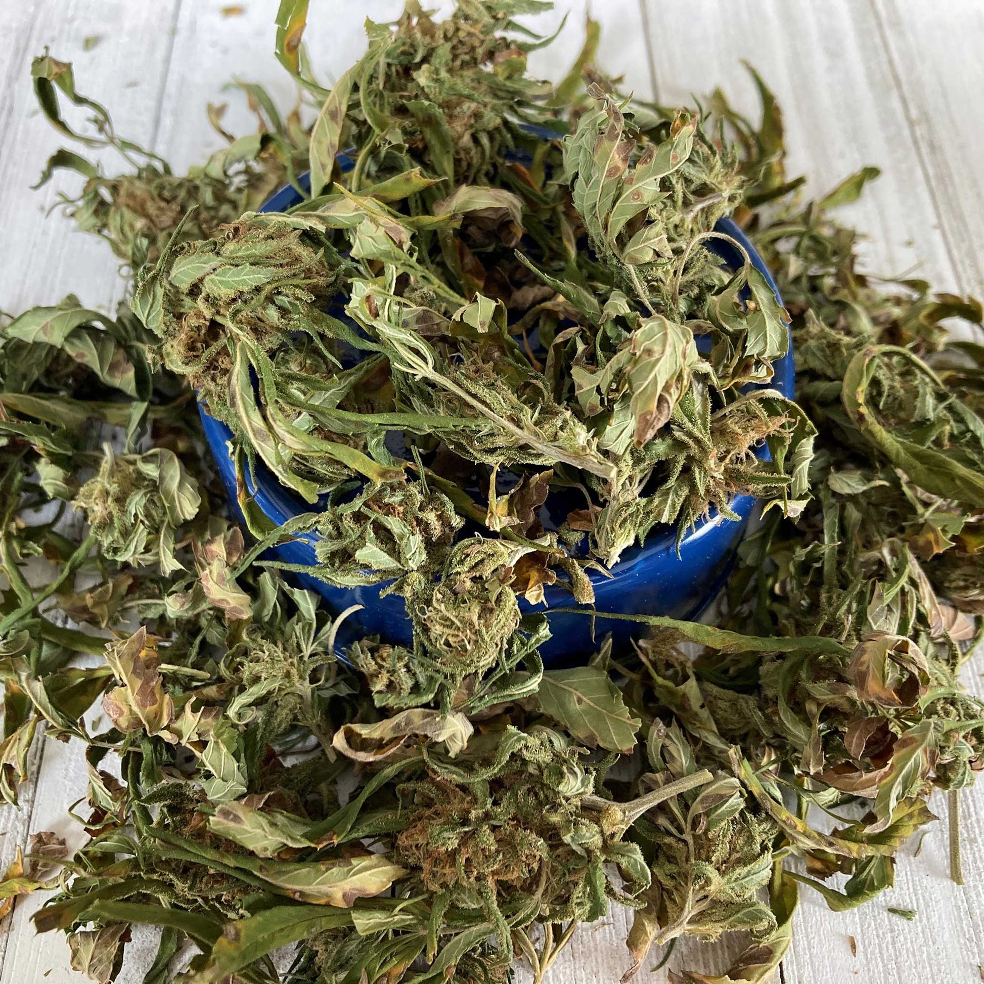 CBD hemp flower loose skake trim